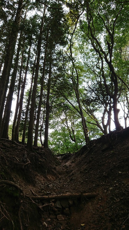 ハイキング?登山?_d0247789_08444319.jpg