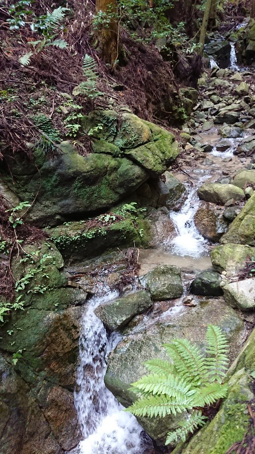 ハイキング?登山?_d0247789_08570793.jpg