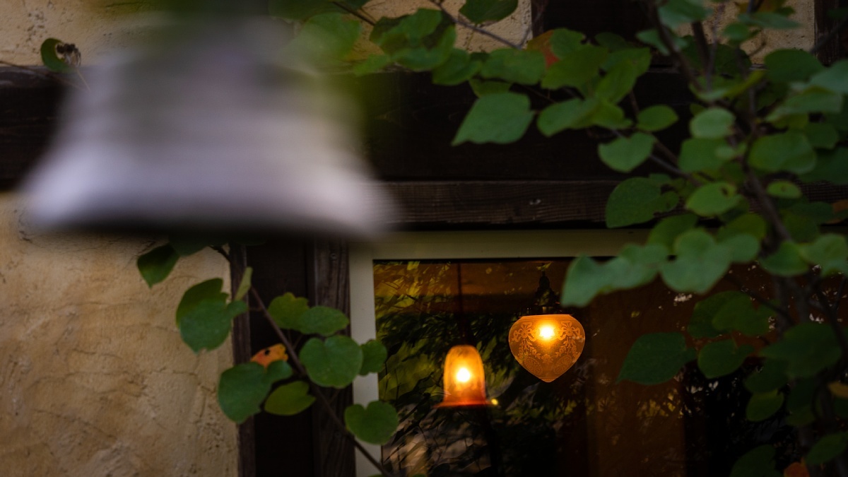 モーリスと言う名前のカフェ_d0353489_20282042.jpg