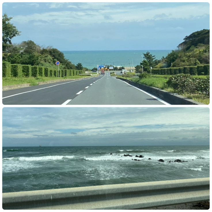コキアを見に茨城へ コストコと海鮮ランチ リタイア夫と空の旅 海の旅 二人旅
