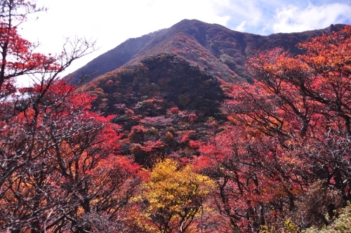 錦秋のくじゅう　2020　　～2日目　三俣山お鉢巡り編～_e0314407_00093809.jpg