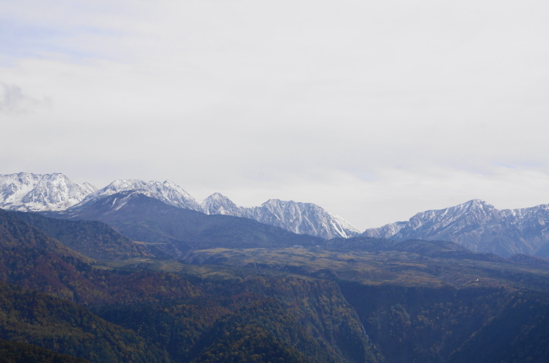 ちょっとそこまで(大辻山 2 頂上から)_d0359010_17025496.jpg
