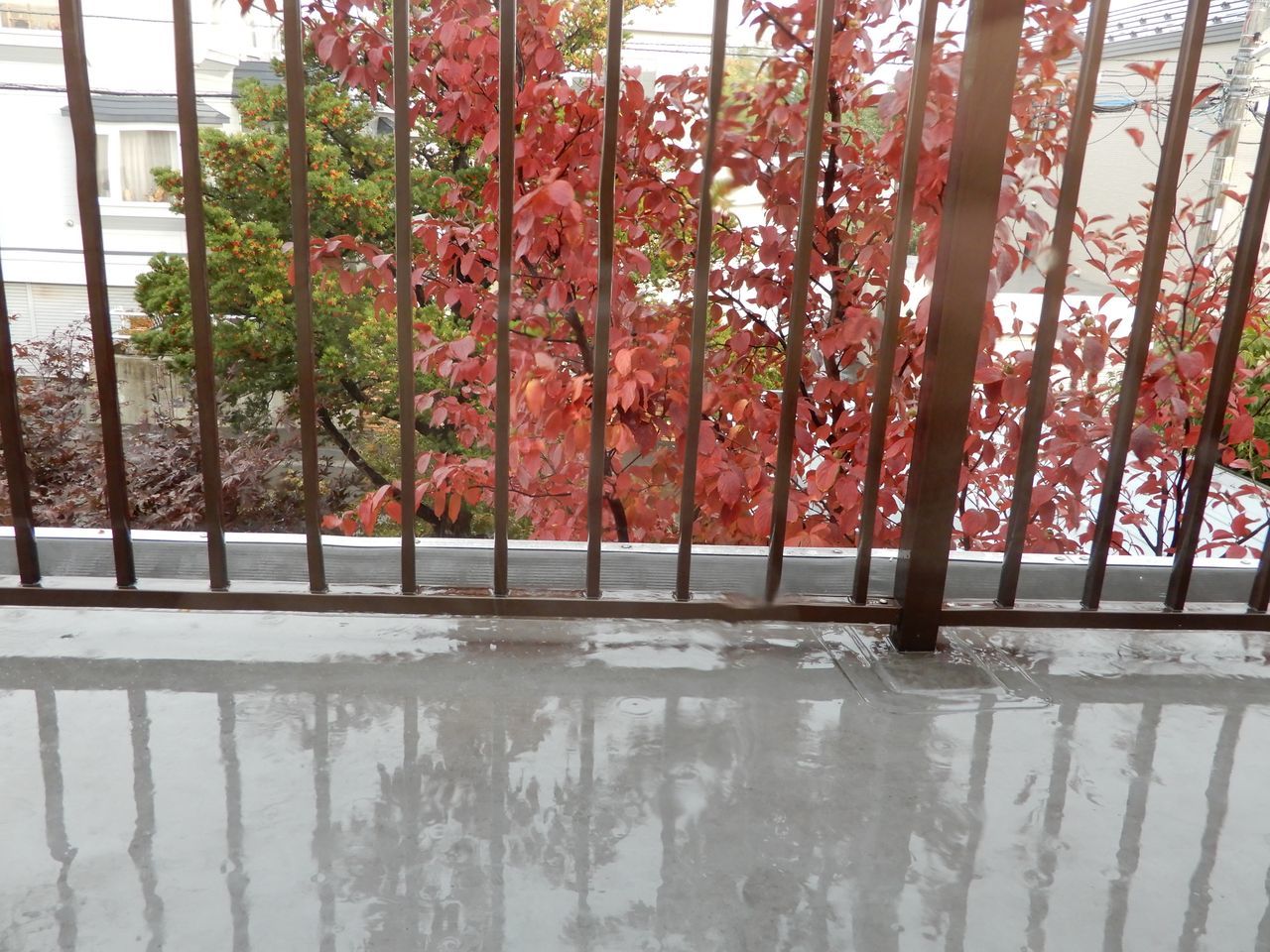雨のち虹_c0025115_21175449.jpg