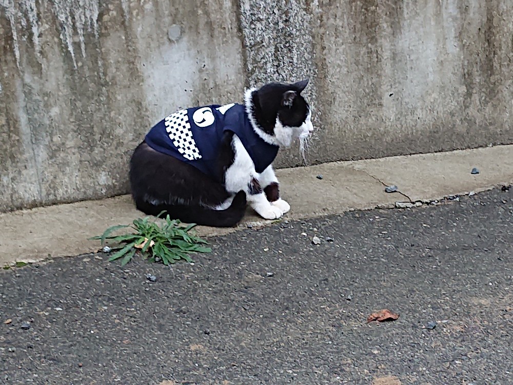 お仕事シミュレーション~_e0145441_00282121.jpg