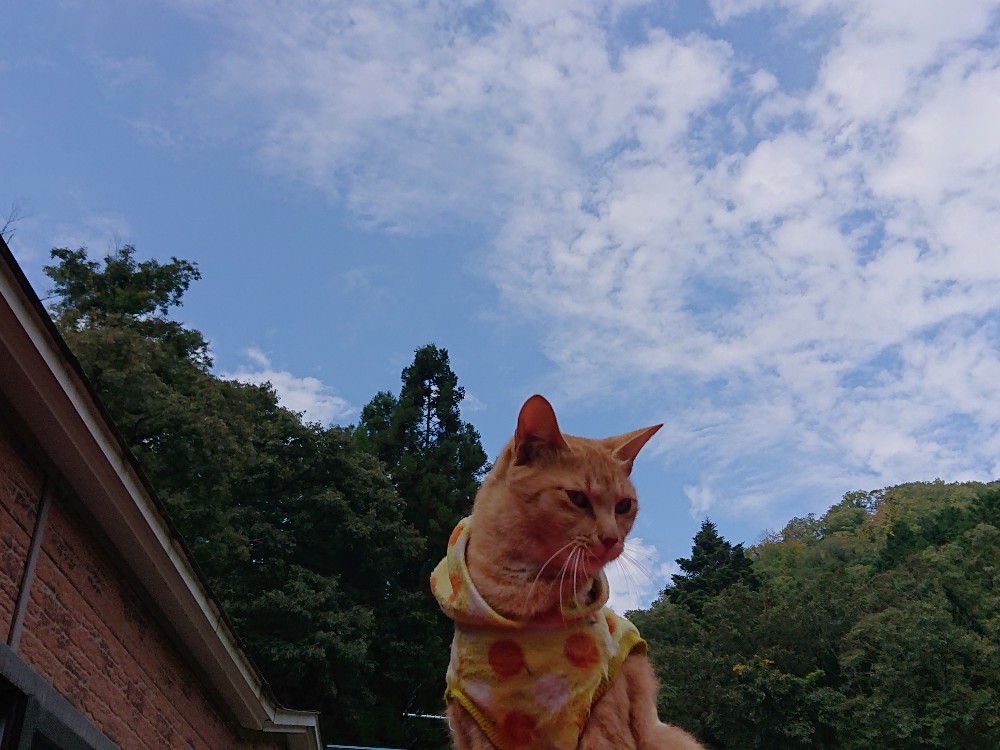 晴れます様に~_e0145441_23434551.jpg