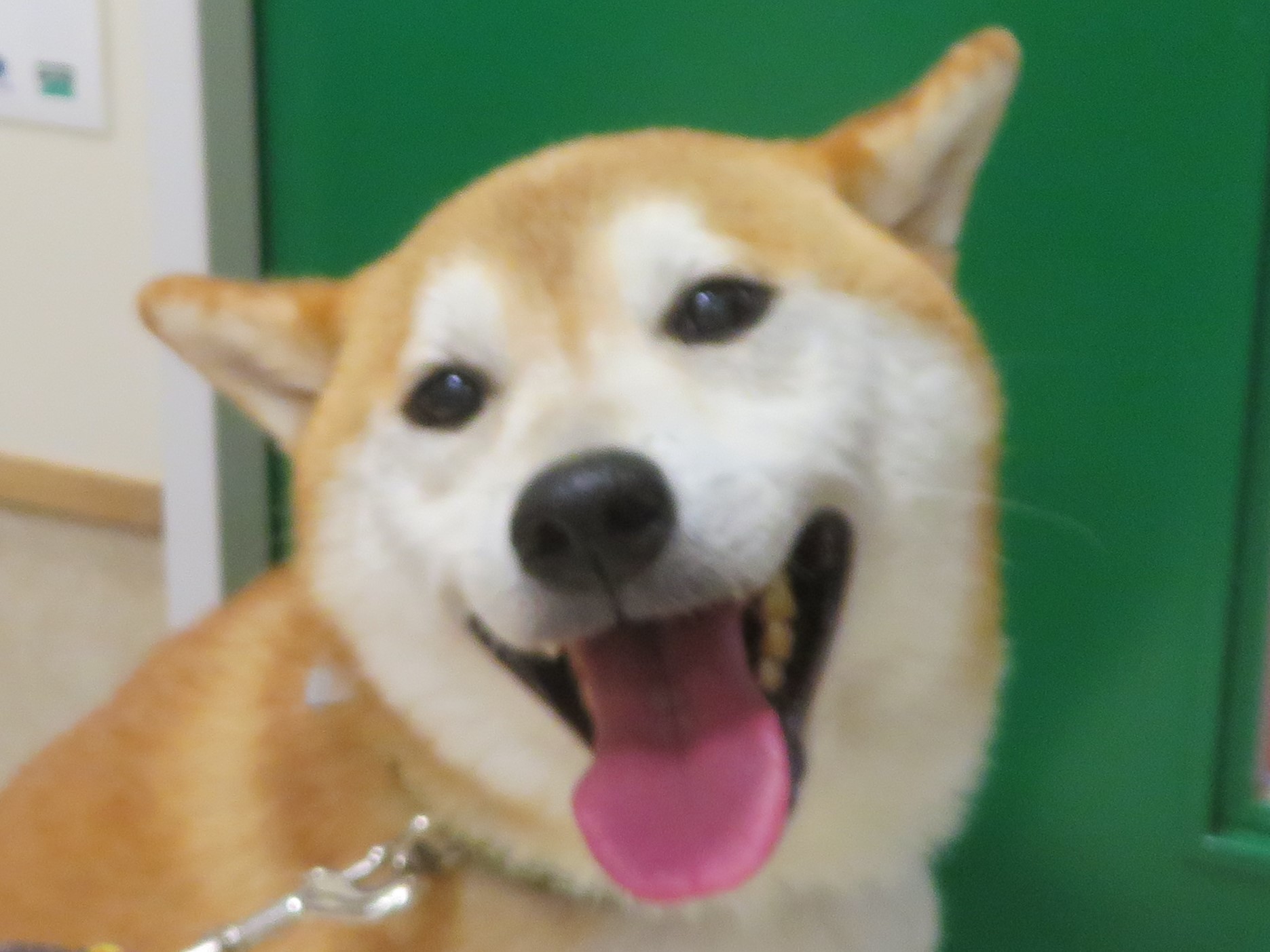 10 月 23 日の写真_c0174644_11255263.jpg