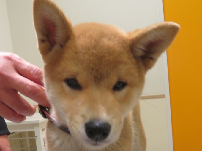 10 月 23 日の写真_c0174644_11255292.jpg