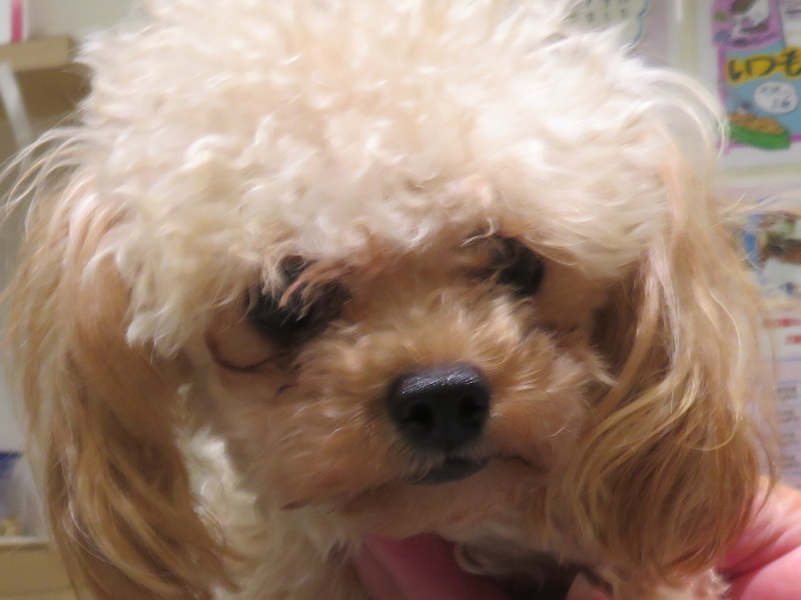 10 月 23 日の写真_c0174644_19304052.jpg