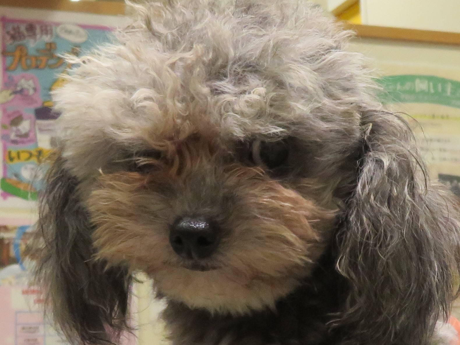 10 月 23 日の写真_c0174644_19304059.jpg