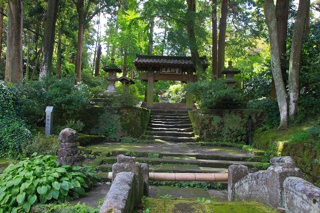 鎌倉 浄智寺 尾花 暮らしを紡ぐ2