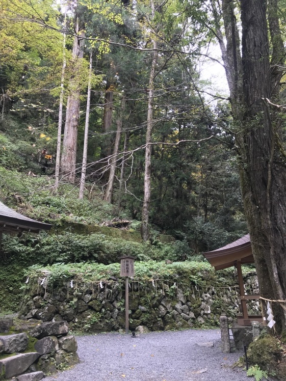 ふたたび京都 2_b0034072_07375963.jpg