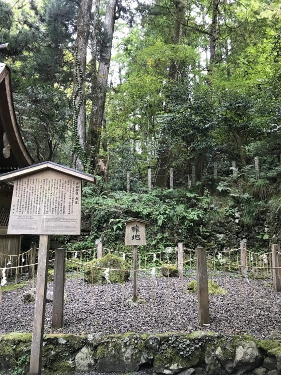 ふたたび京都 2_b0034072_07390085.jpg