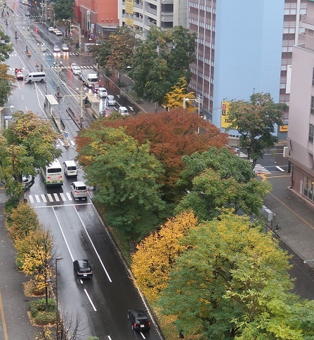 年10月23日 札幌の朝 雨 ワイン好きの料理おたく 雑記帳