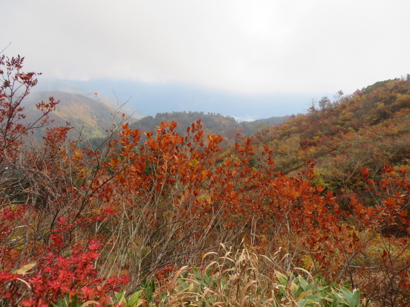 紅葉見ごろ　三方岩岳 (1,736M)    登頂 編_d0170615_18223695.jpg