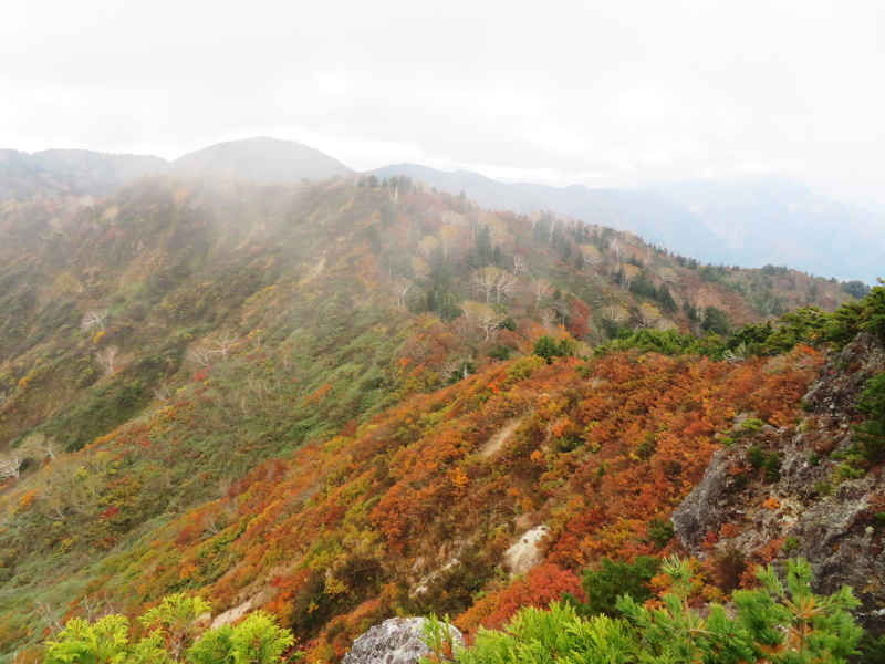 紅葉見ごろ　三方岩岳 (1,736M)    登頂 編_d0170615_18240605.jpg