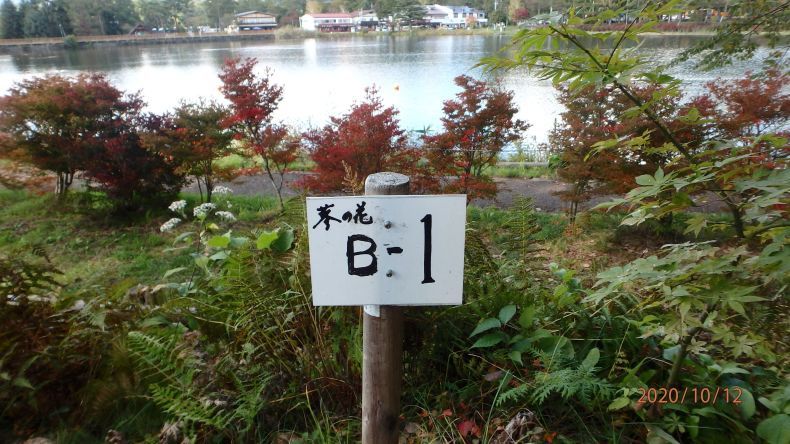 八ヶ岳を周遊する旅 Day1 後編 ー 蓼科湖畔でキャンプ 夜の部 浮世闊歩