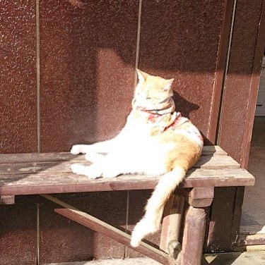眩しいね~_e0145441_23502611.jpg
