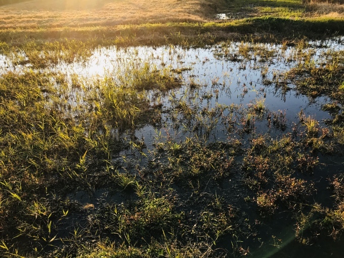 休息日_d0101846_16573344.jpeg