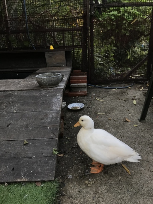 休息日_d0101846_16575499.jpeg