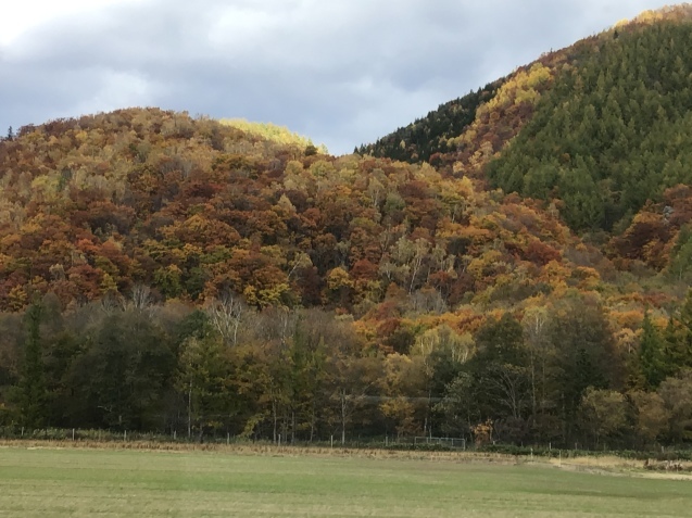 Tartaruga 北海道　道東　輪行キャンプツーリング　遠軽～網走　編_d0197762_13123630.jpeg