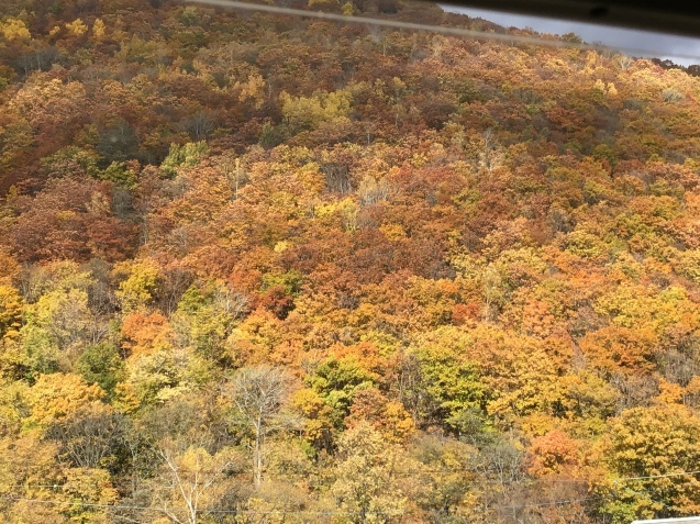 Tartaruga 北海道　道東　輪行キャンプツーリング　遠軽～網走　編_d0197762_13145509.jpeg