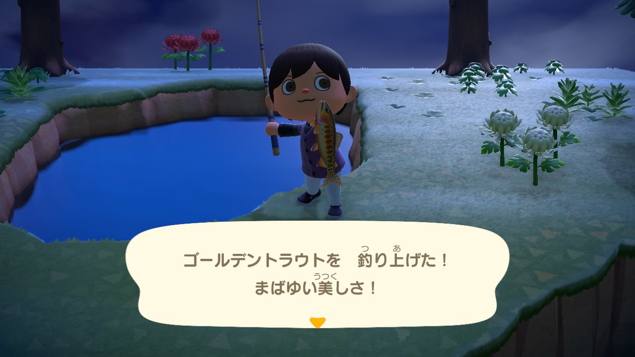 【Switch】「あつ森」超レア魚「ゴールデントラウト」と「イトウ」釣りに挑む！！_c0405167_02052568.jpg