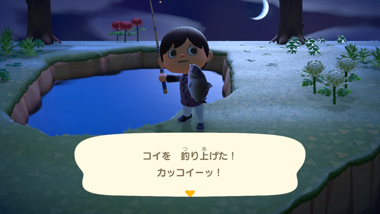 コイ 値段 あつ森 ニシキゴイ