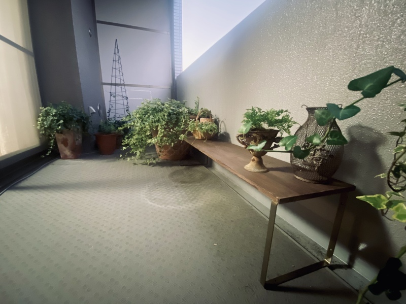 Diyで観葉植物用棚を作る Sweet