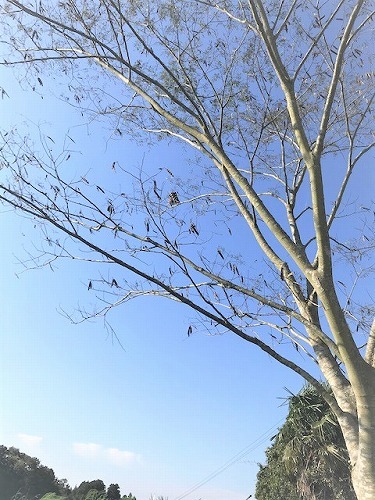 気持ち良い秋日和_c0165589_18341893.jpg