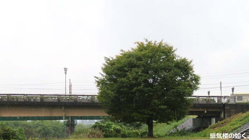「神様になった日」舞台探訪001 第01話降臨の日 山梨市万力公園周辺ほか_e0304702_21361162.jpg