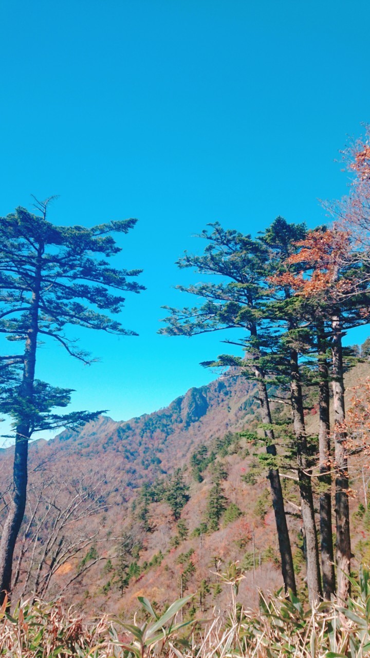 初めて石鎚山に登りました。_b0334704_23140674.jpg