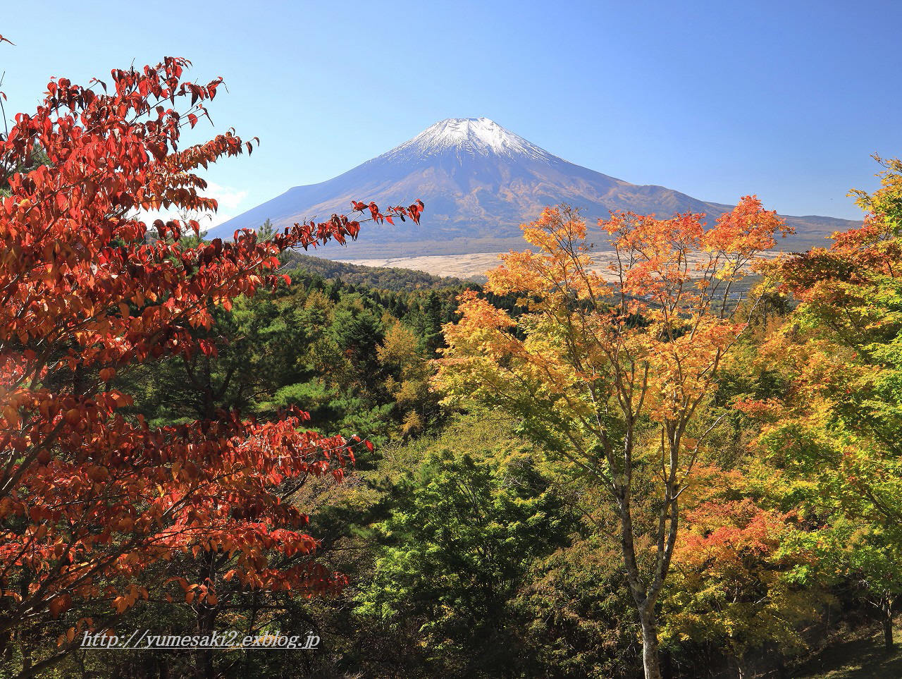 2020紅葉のスタートは二十曲峠～_a0188405_23062965.jpg