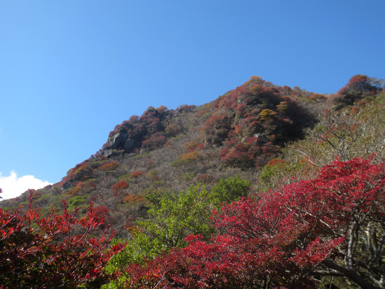 ■くじゅう大船山・御池の紅葉、そして我ながら前代未聞の……_d0190217_17442913.jpg