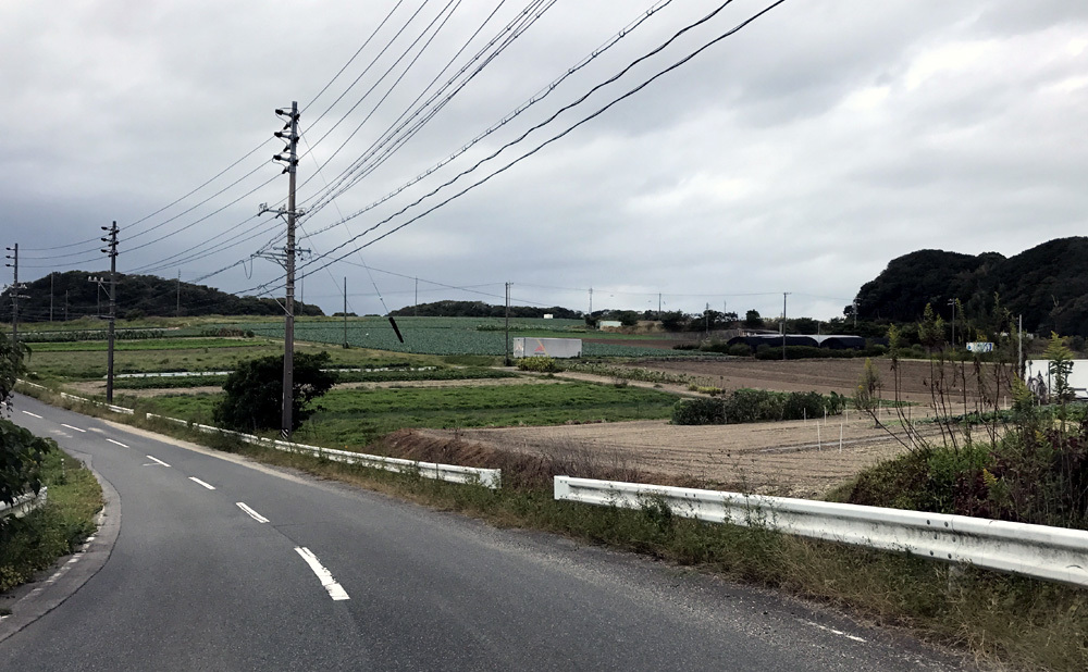 ここ数日の事。 2020年10月25日(日)_d0171823_22291109.jpg