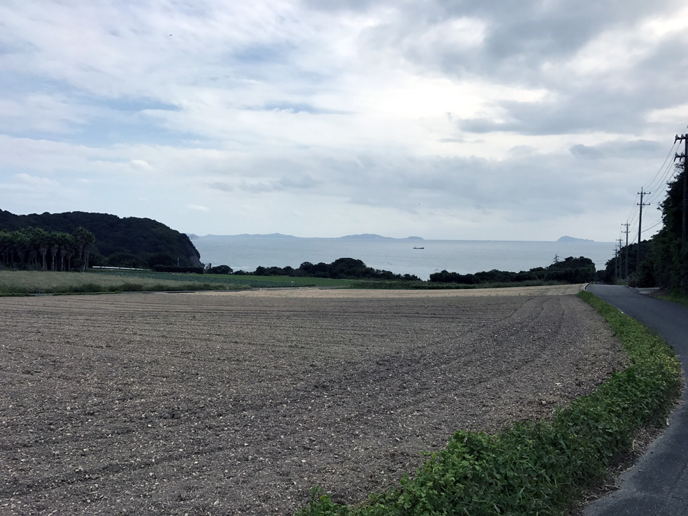 ここ数日の事。 2020年10月25日(日)_d0171823_22293015.jpg