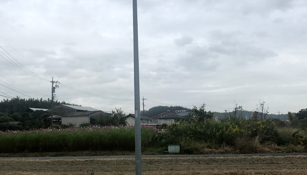 ここ数日の事。 2020年10月25日(日)_d0171823_22304241.jpg