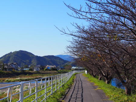 今日のMラさんぽ 秋晴れ!エビの猟場を探しに_c0193627_19484133.jpg