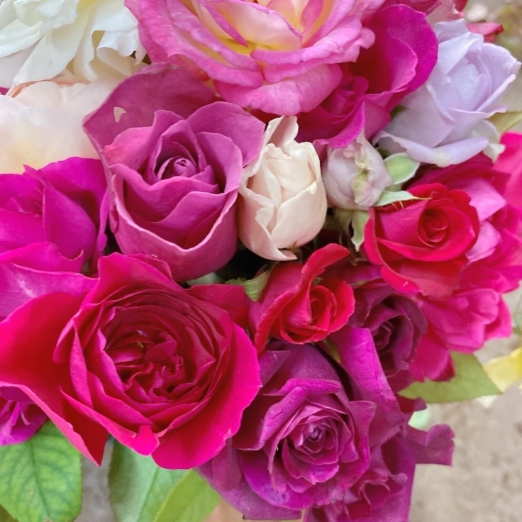 おくださんから薔薇 届きました Ayakoishii Samasamaaroma