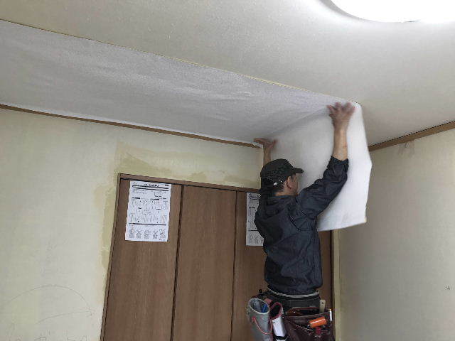 公休日出動・・・賃貸5.5日と入荷確認_f0031037_17392259.jpg