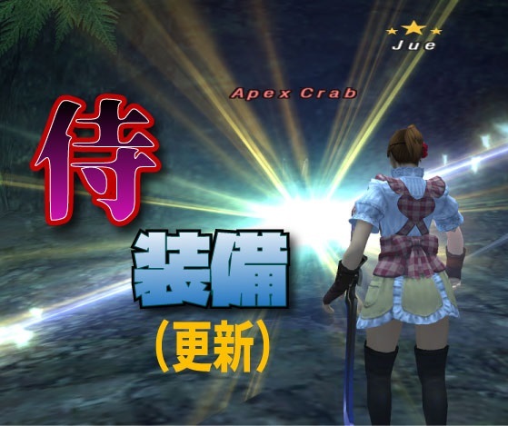 侍装備(更新)_e0401547_18464874.jpg