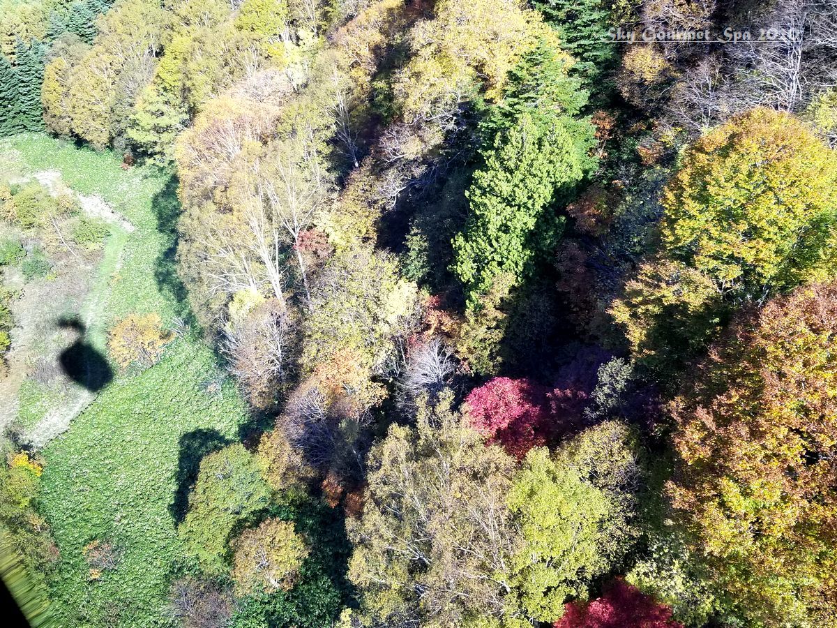 ◆ 「Go to で紅葉の奥飛騨 信州渋温泉」へ、その12【新穂高ロープウェイ】（2020年10月）_d0316868_08580995.jpg