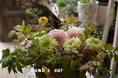 お供え花 Ramb S Ear ラムズイヤー お供え花 Ramb S Ear ラムズイヤー