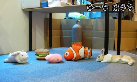 寒いのいやだな。_b0326613_22305318.jpg