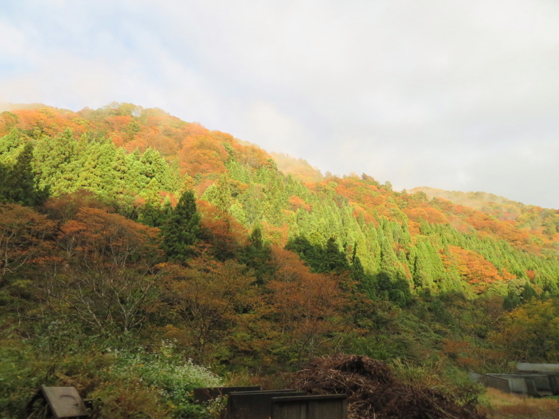 紅葉真っ盛り　金剛堂山 (1,637.8M)　　登頂 編  prat 1_d0170615_10304220.jpg