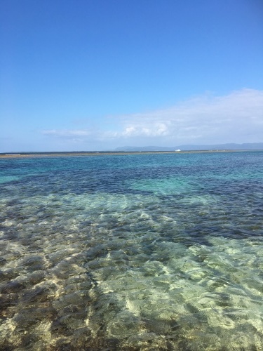 黒島 仲本海岸 ほぼゴルフ日記