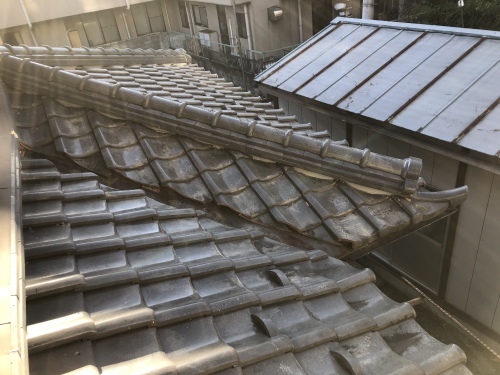笛吹市　シルバーの屋根　其の四_b0242734_22390083.jpeg