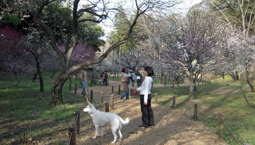 Vol.1 横浜市児童遊園地_a0117039_22250416.jpg