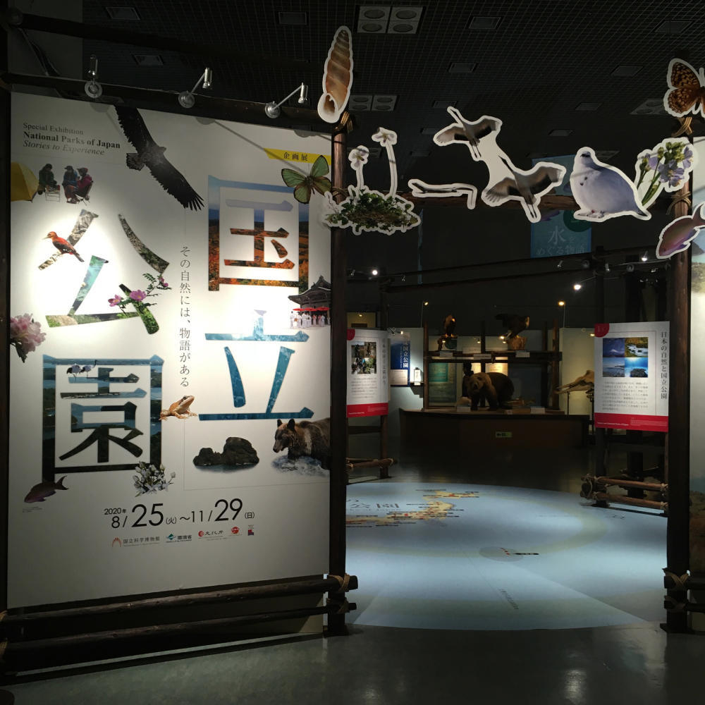 国立公園の映像を観てたら絵が描きたくなった_c0060143_20563582.jpg