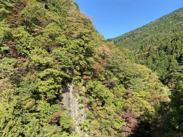 付知峡紅葉情報 付知町観光協会情報 付知峡紅葉情報 付知町観光協会情報