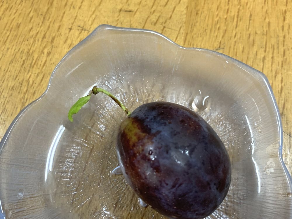 ☆ことしは生のプルーンに出会えた☆_c0092953_00165373.jpg